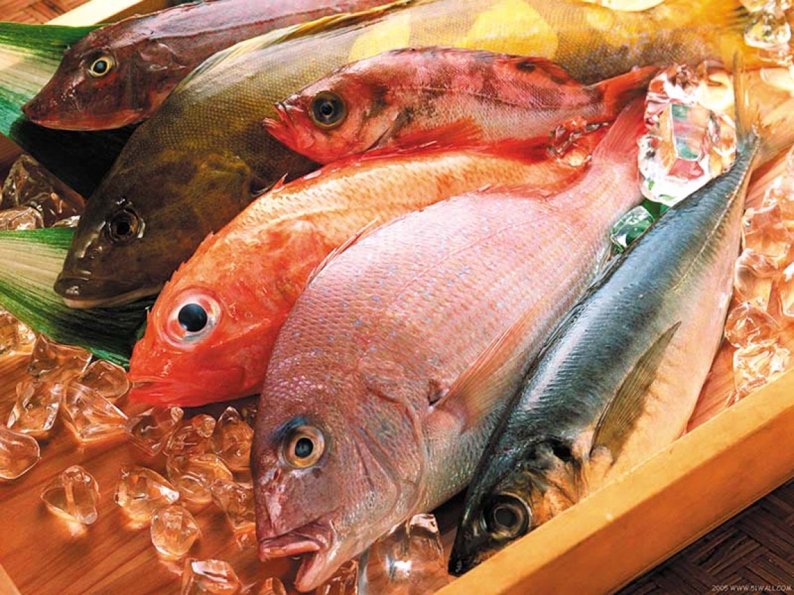 Benefícios do consumo de peixes